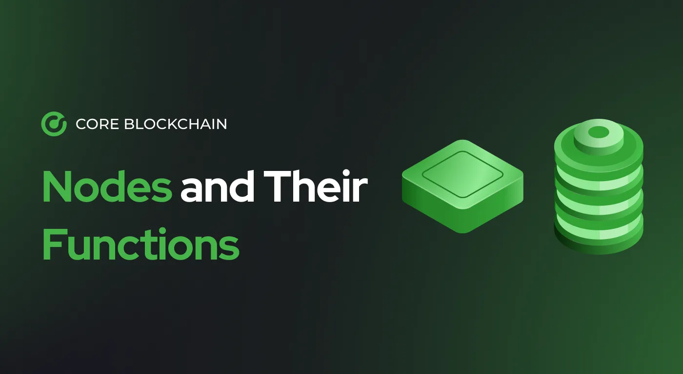 How to Run Nodes and Their Role in the Core Blockchain